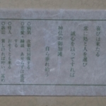 Thumbnail of post image 031