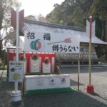 Thumbnail of post image 021