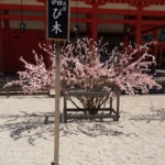 Thumbnail of post image 052